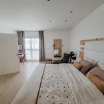 Maison 12 Personnes, Vendee Et Puy Du Fou *