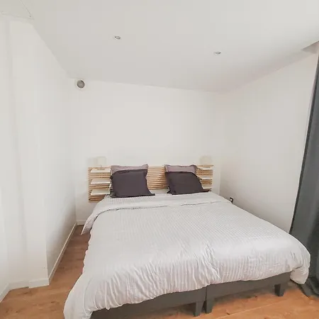 Maison 12 Personnes, Vendee Et Puy Du Fou *