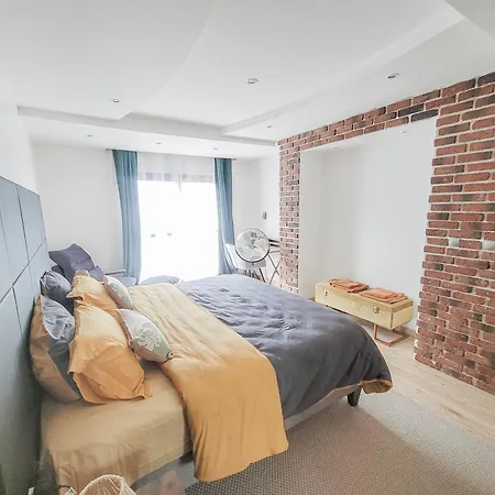 Villa Maison 12 Personnes, Vendee Et Puy Du Fou Treize-Septiers