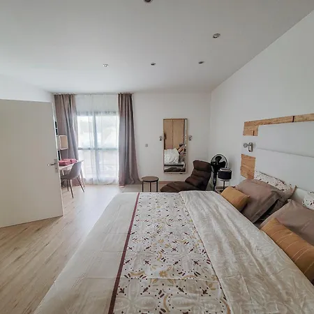 Maison 12 Personnes, Vendee Et Puy Du Fou *