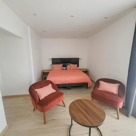 Maison 12 Personnes, Vendee Et Puy Du Fou Villa *