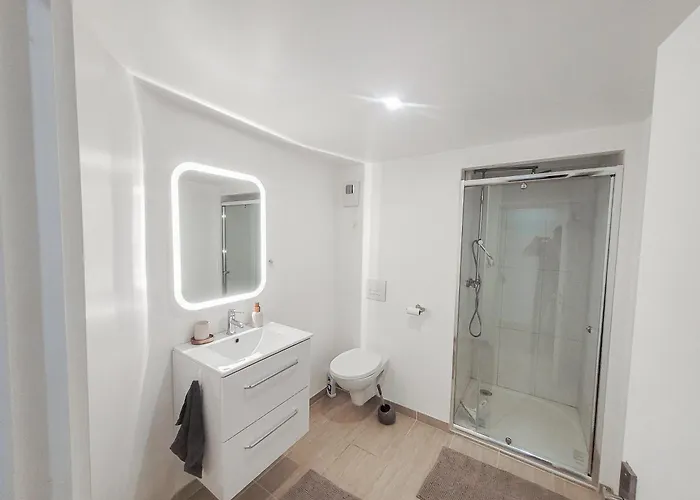 Villa Maison 12 Personnes, Vendée Et Puy Du Fou