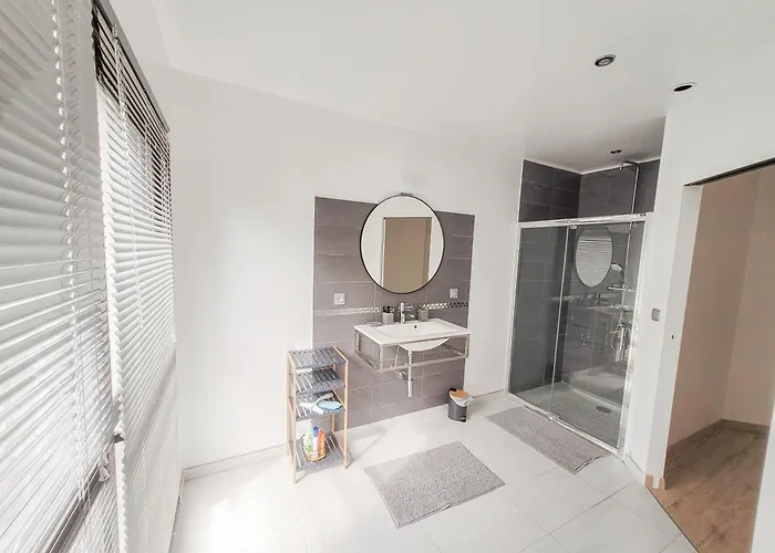 Villa Maison 12 Personnes, Vendée Et Puy Du Fou Treize-Septiers