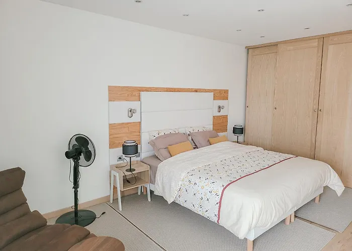 Maison 12 Personnes, Vendée Et Puy Du Fou Villa