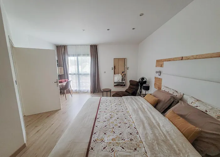 Maison 12 Personnes, Vendée Et Puy Du Fou *