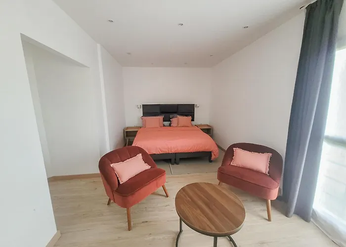 Maison 12 Personnes, Vendée Et Puy Du Fou Villa *